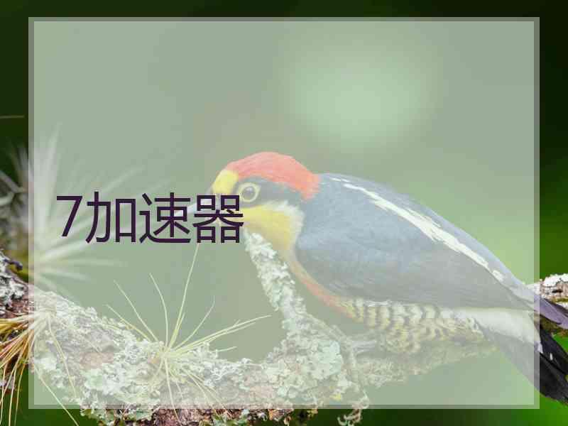 7加速器