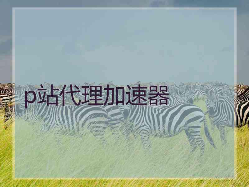 p站代理加速器
