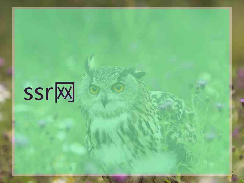 ssr网