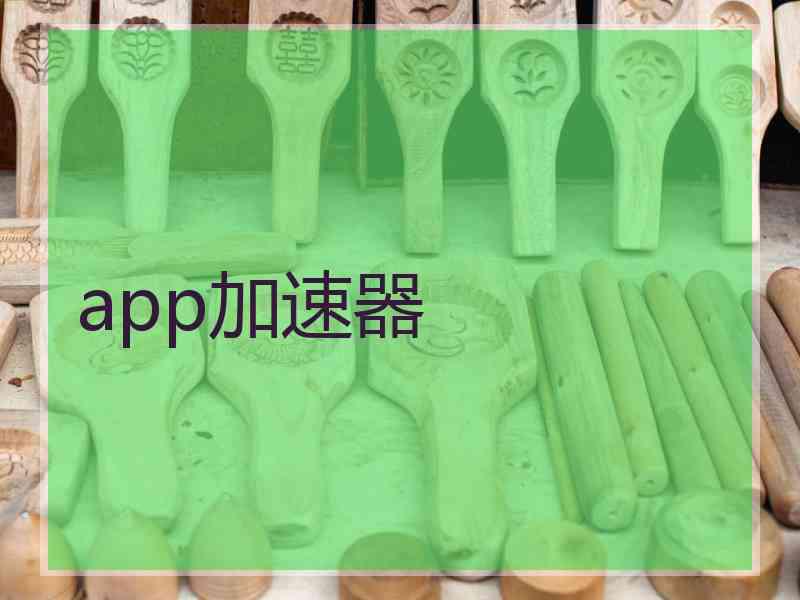 app加速器