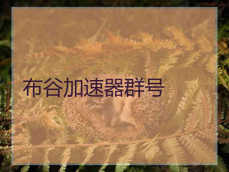 布谷加速器群号