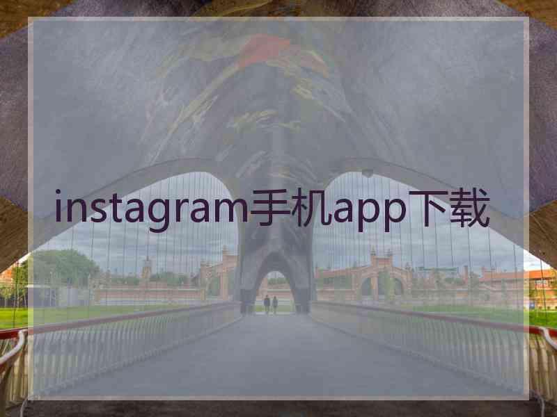 instagram手机app下载