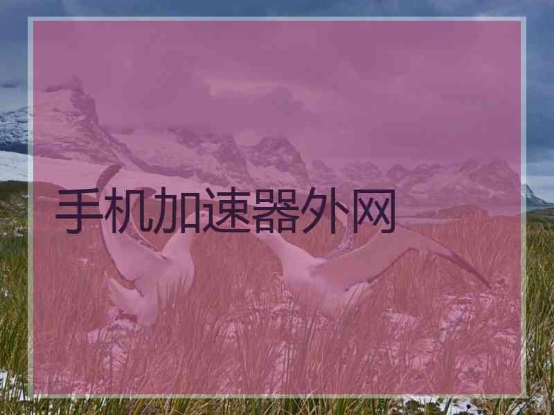 手机加速器外网