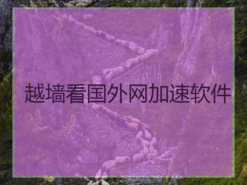 越墙看国外网加速软件