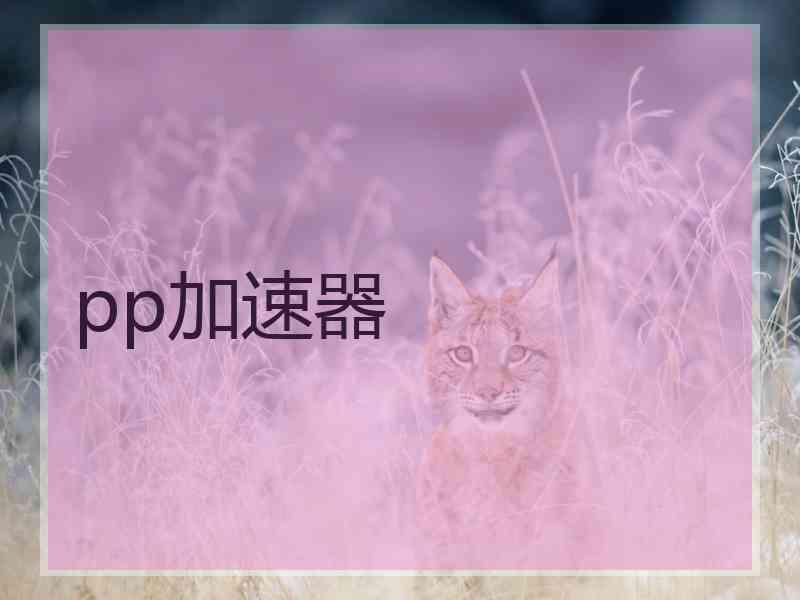pp加速器